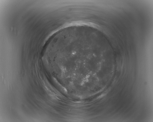 X0000082741497200701261428