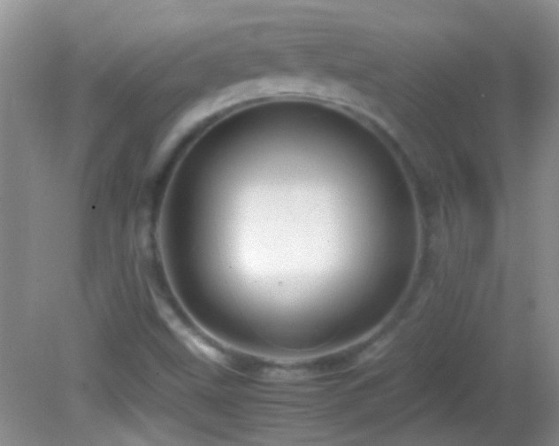 X0000082741499200701261428