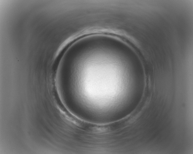 X0000082741501200701261428