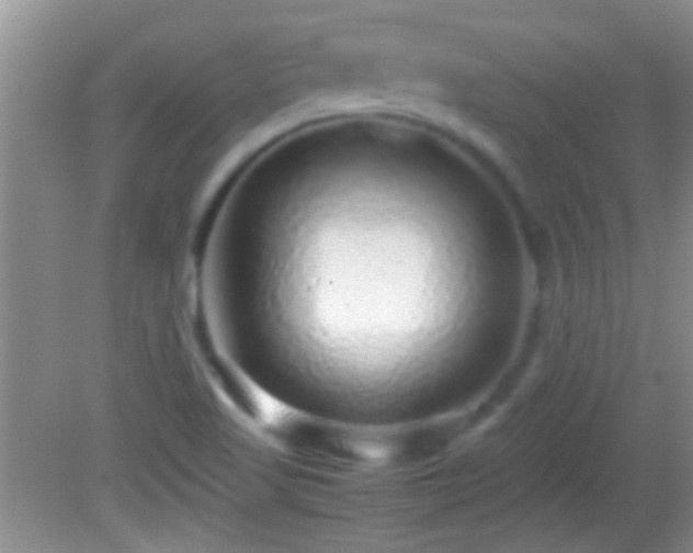 X0000082741509200701261428