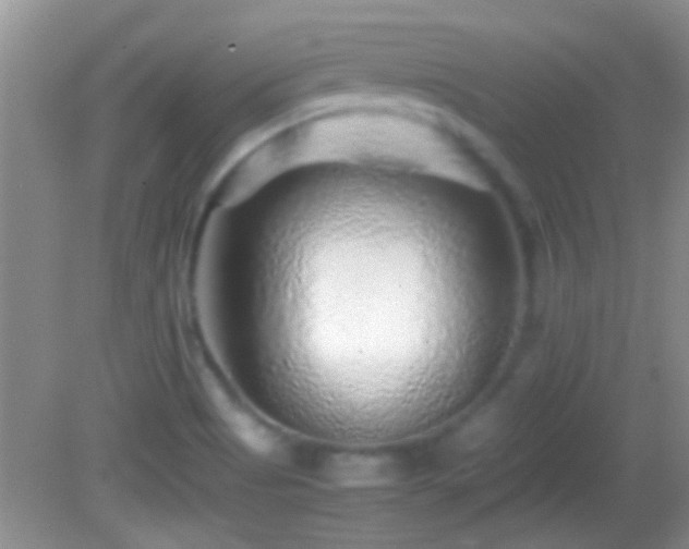 X0000082741513200701261428