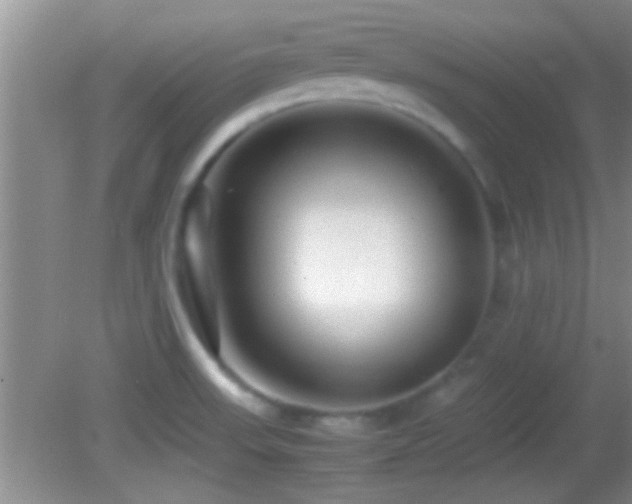 X0000082741523200701261428