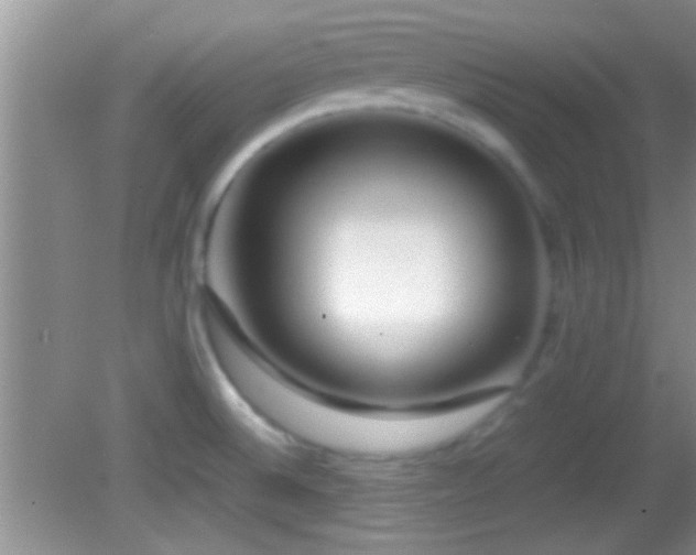 X0000082741524200701261428