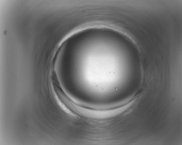 X0000082741526200701261428