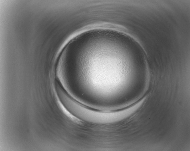 X0000082741531200701261428