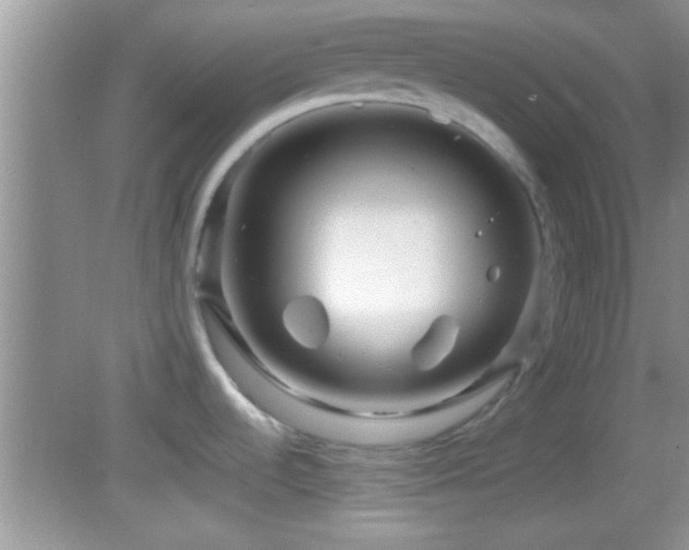 X0000082741536200701261428