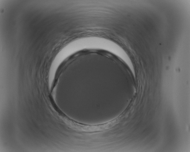 X0000082740031200702021356