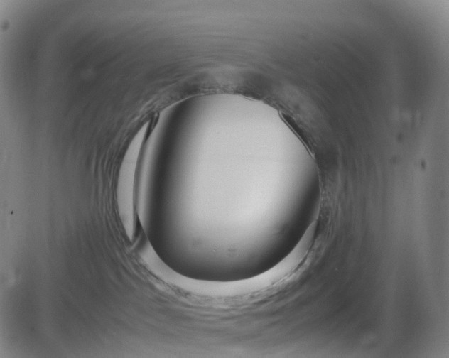 X0000082740045200702021356