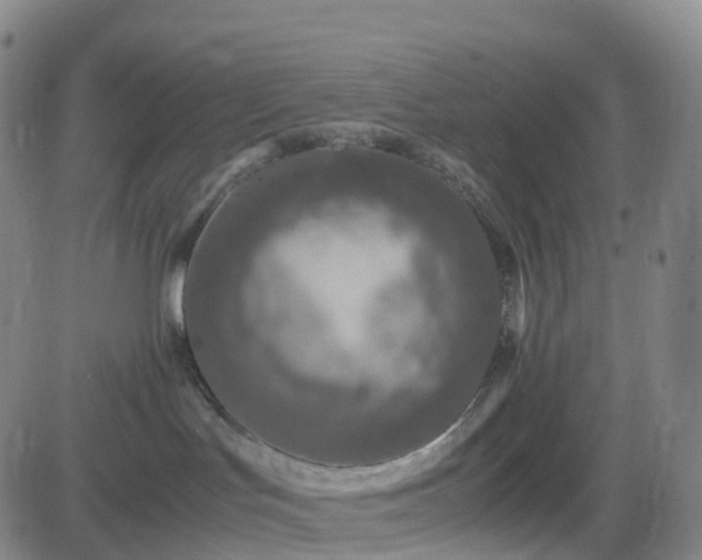 X0000082740047200702021356