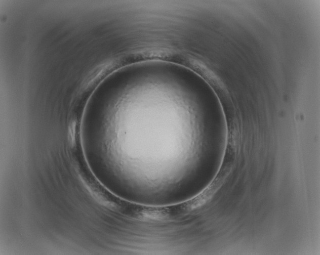 X0000082740070200702021356