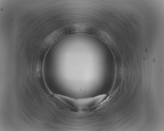 X0000082740082200702021356