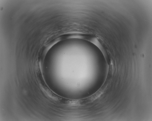 X0000082740088200702021356