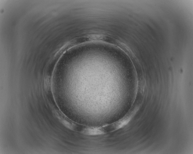 X0000082740093200702021356