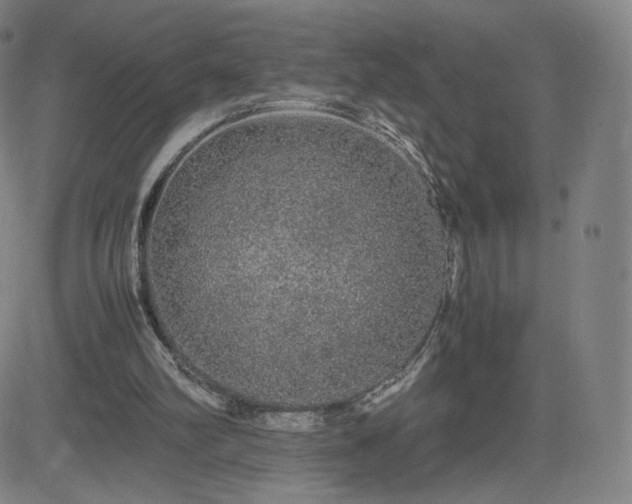 X0000082740102200702021355