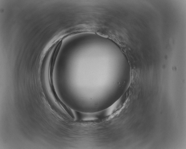 X0000082740150200702021354