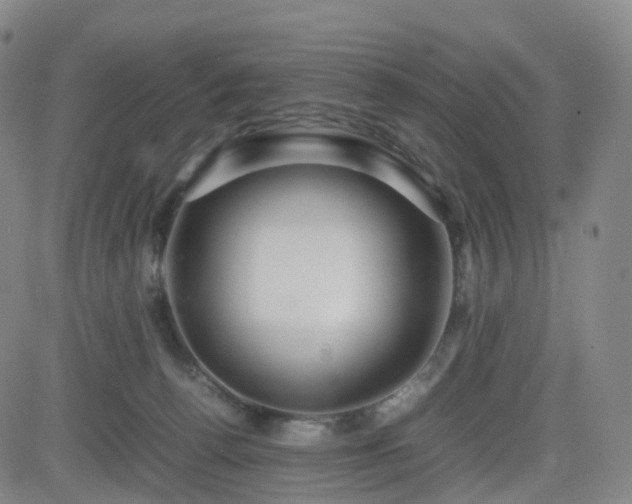 X0000082740176200702021354