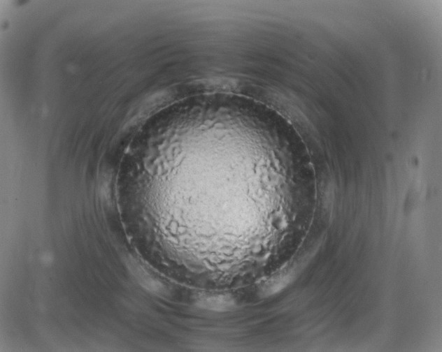 X0000082740185200702021354