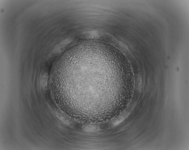 X0000082740230200702021353