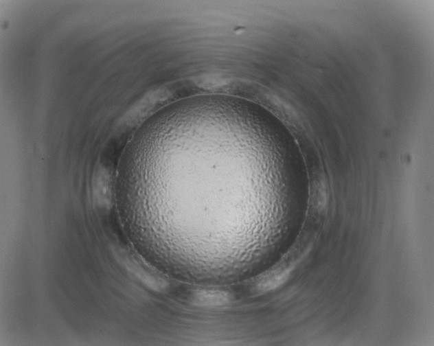 X0000082740234200702021353