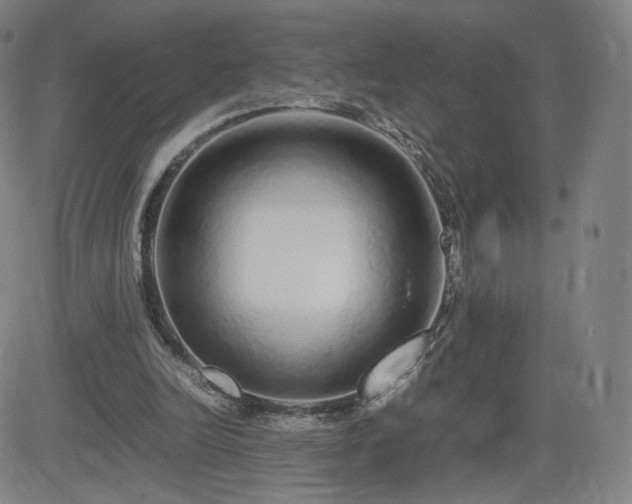 X0000082740246200702021352