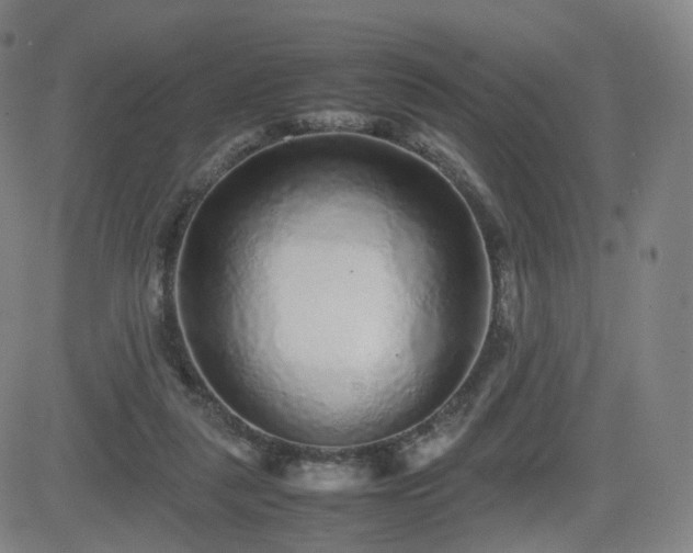X0000082740259200702021353