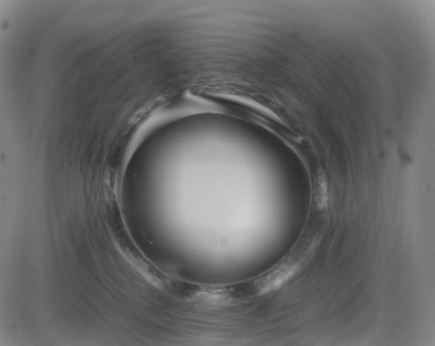 X0000082740280200702021353