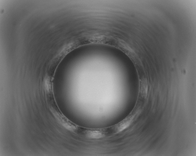 X0000082740287200702021353