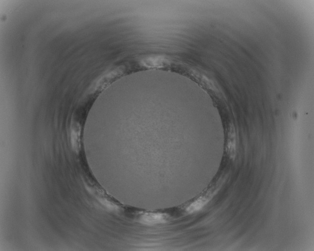 X0000082740332200702021352