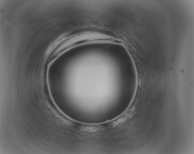 X0000082740341200702021351