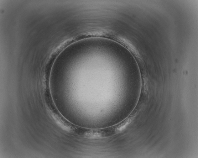 X0000082740354200702021351