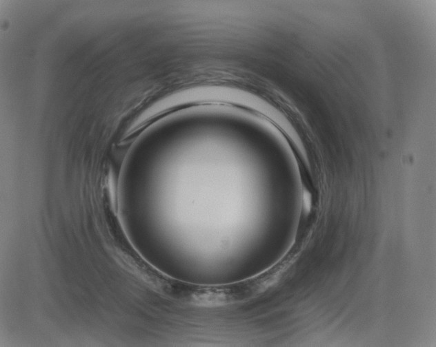 X0000082740362200702021351