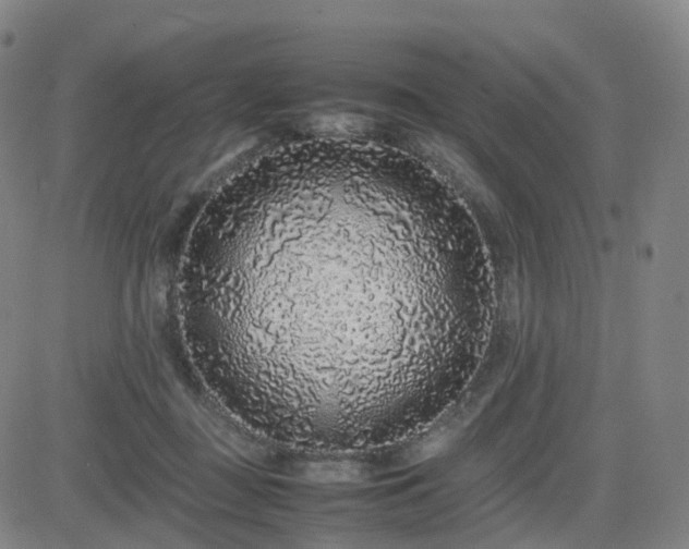 X0000082740363200702021351