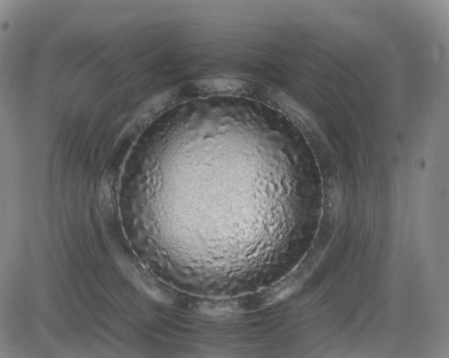 X0000082740373200702021351