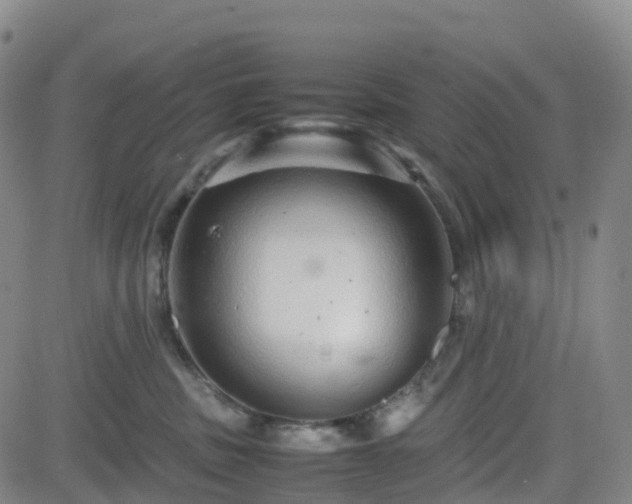 X0000082740379200702021351