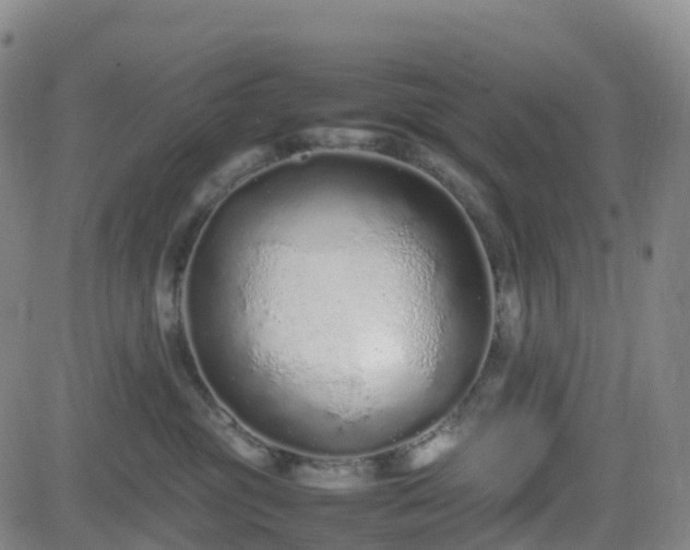 X0000082740381200702021351