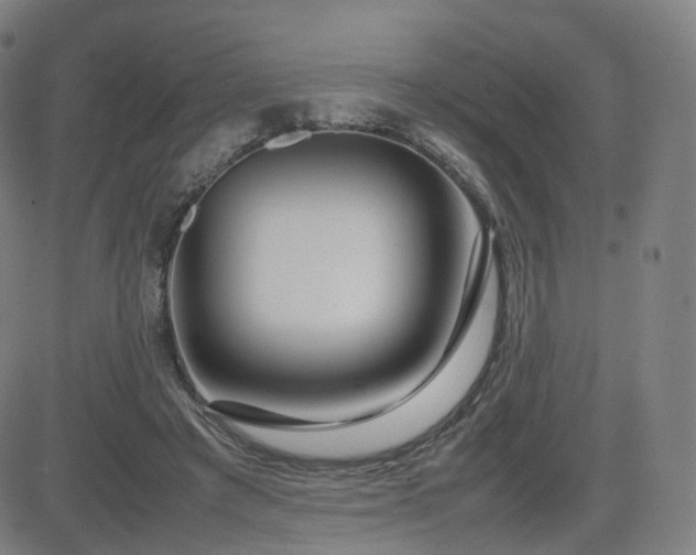 X0000082740401200702021350