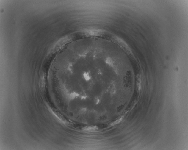 X0000082740410200702021350