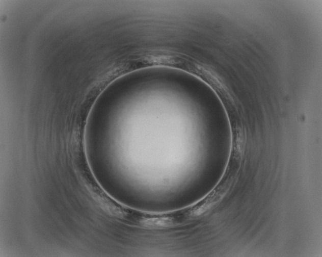 X0000082740461200702021350