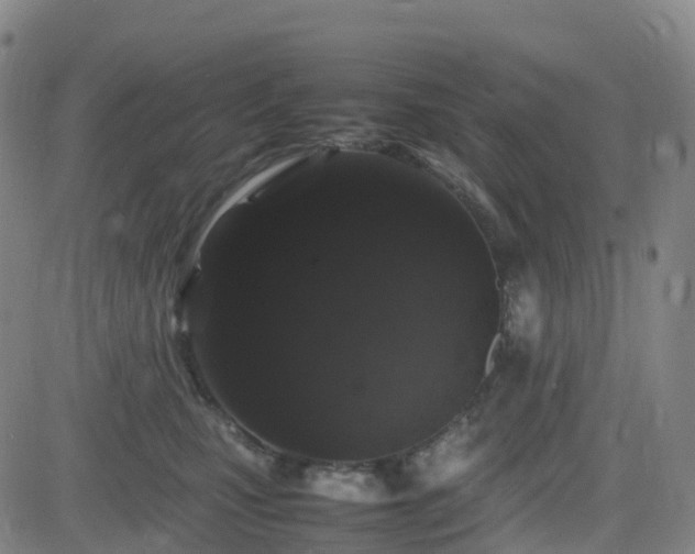 X0000082740471200702021350