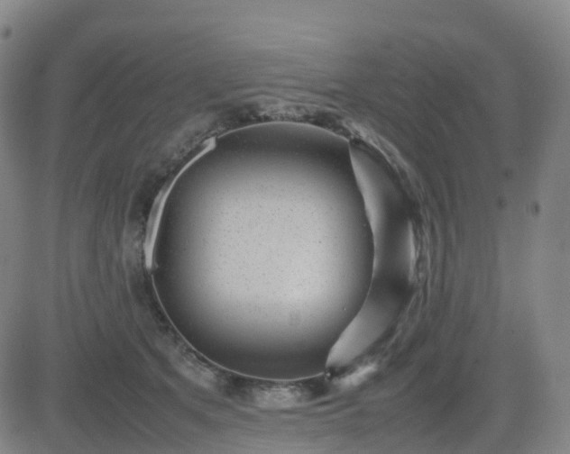 X0000082740513200702021349