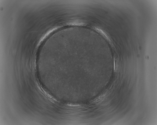 X0000082740531200702021348
