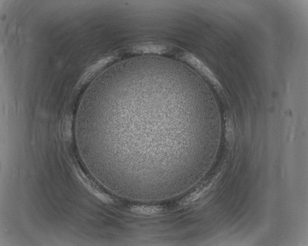X0000082740537200702021348