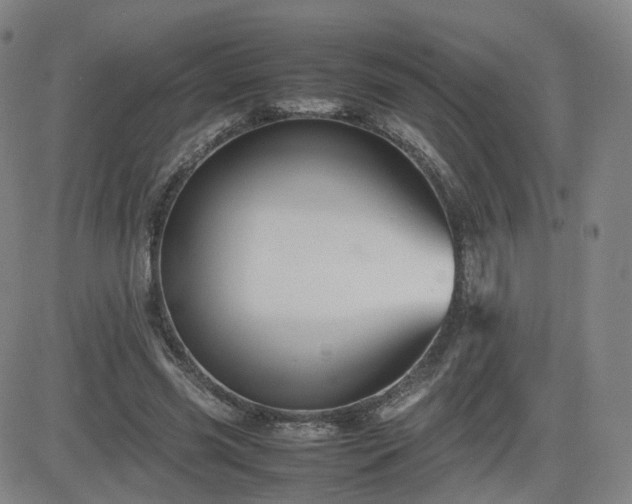 X0000082740541200702021348