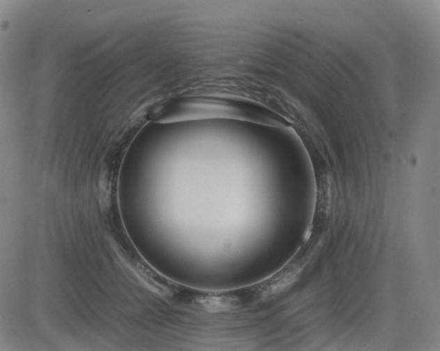 X0000082740558200702021348