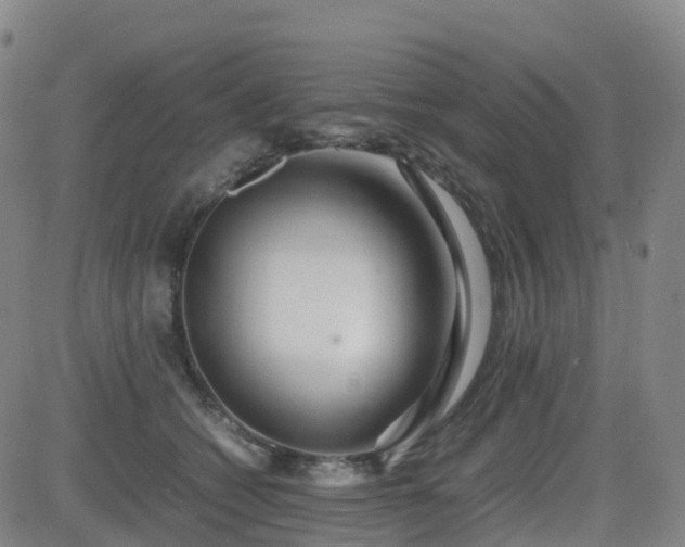 X0000082740562200702021348
