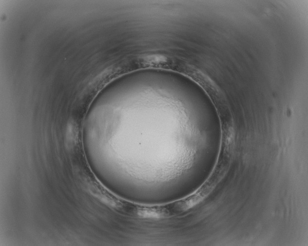 X0000082740565200702021348