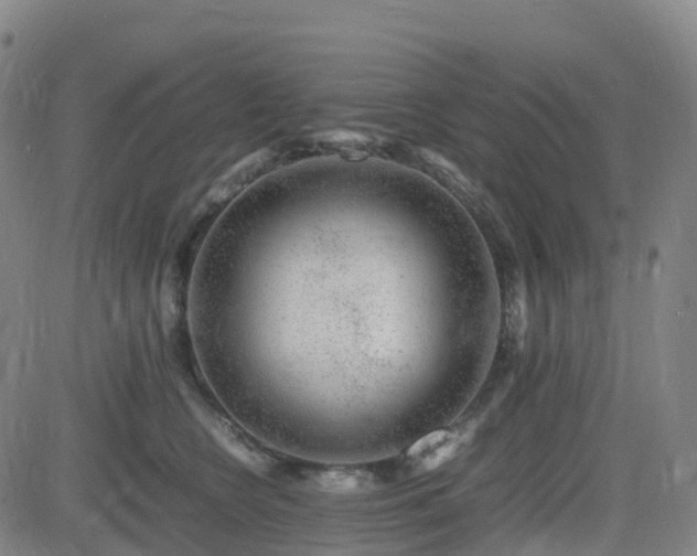 X0000082740566200702021348