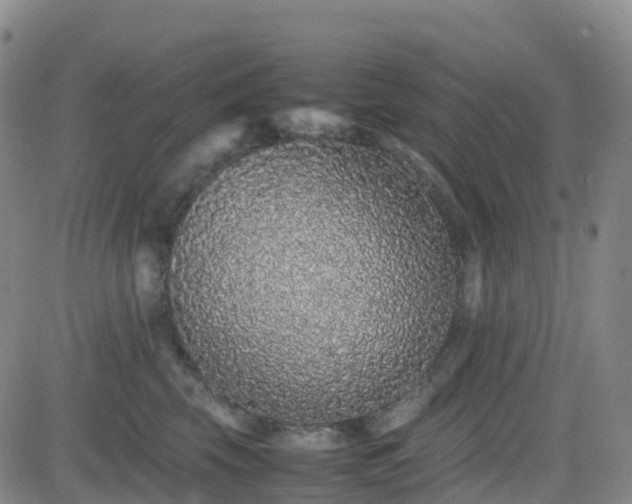 X0000082740569200702021348