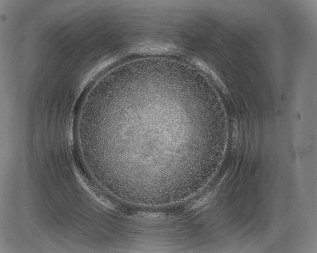 X0000082740582200702021348