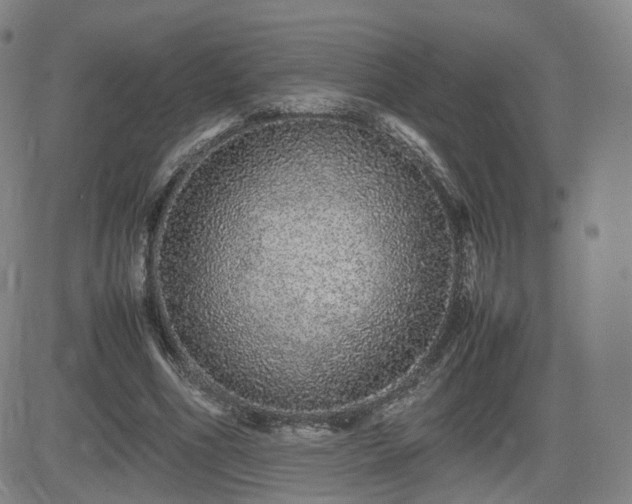 X0000082740586200702021347